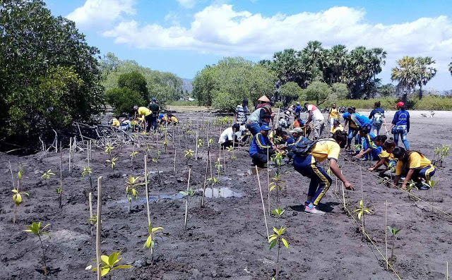 Berawal dari Facebook, Ratusan Orang Akhirnya Turun Tanam Mangrove