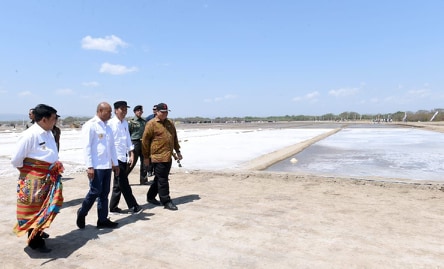 Presiden Jokowi Tinjau Produksi Tambak Garam di Kupang Timur