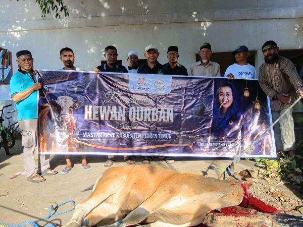 Julie Sutrisno Laiskodat Bagikan Daging Qurban kepada 220 Kepala Keluarga di Masjid Ataqwa Witihama